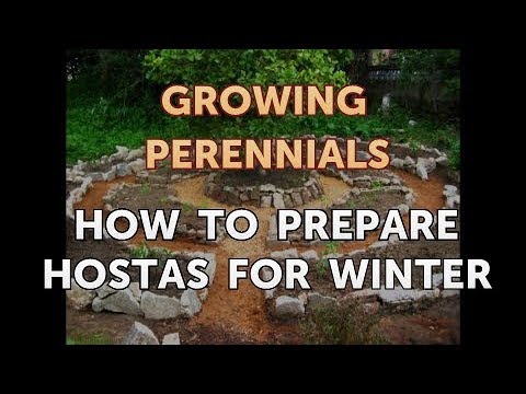 Can I Propagate a Peony From a Cutting