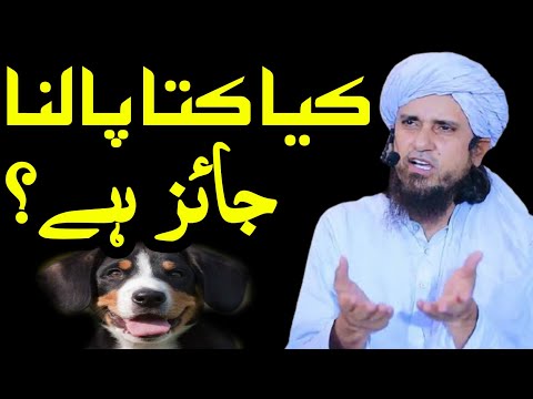 Kya Kuta (Dog) Palna Jaiz Hai ? | Tariq Masood Q&A