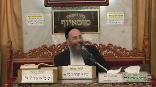 זרע שמשון - פרשת בחוקותי תשפד - הרב יוסף חיים אוהב ציון
