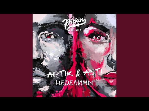 Nedelimy (DJ PitkiN Remix)