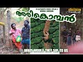 അരികൊമ്പൻ അരികൊമ്പനും ചക്കകൊമ്പനും �