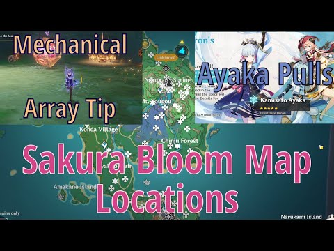 Ayaka Pulls - Mechanical Array Tip - Sakura Bloom Map Locations