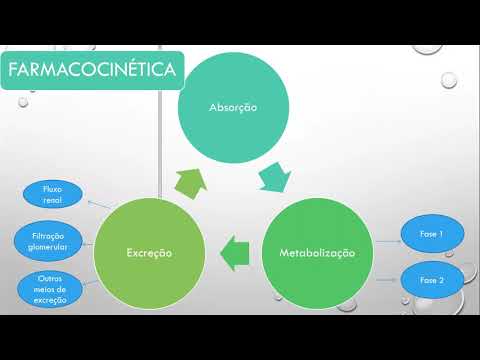 mapa mental terapêutica - farmacocinética e farmacodinâmica