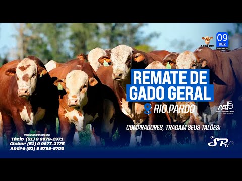 AGRO BOI - REMATE DE GADO GERAL  - RIO PARDO RS (09/12/2025)
