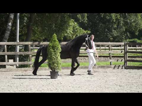 Locatiekeuring De Nieuwe Heuvel 24-6-2020