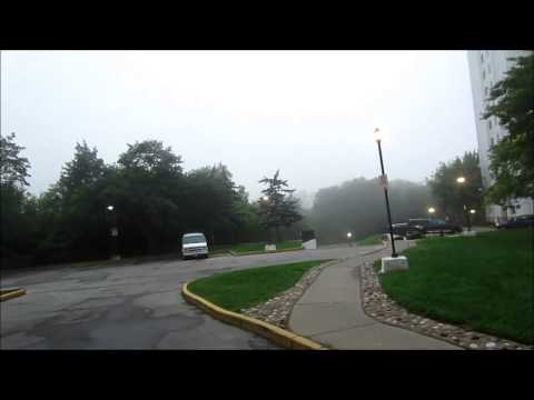 Transbrainer Flights