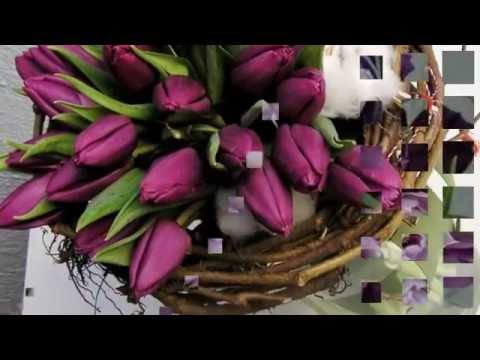 Mariana Mihaila -  Lalele , Lalele