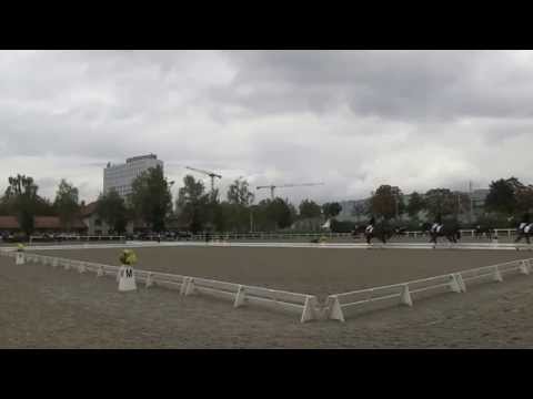ZKV Quadrille Reitverein Amt Erlach 2014