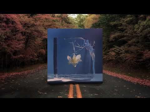 Else - Night Thoughts