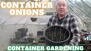 Growing Container Onions [Gardening Allotment UK] [Grow Vegetables At Home ]