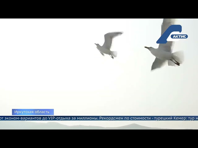 Туристы активно готовятся к осеннему отдыху