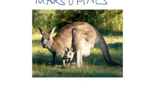 Mammal Classification (worked example)