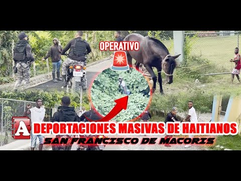 JUIDERO 5.0! MASS DEPORTATION OF HAITIANS IN THE DR