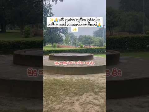🙏✨බුදුරජාණන් වහන්සේ භාවිතා කළ ළිද පින් සිතින් දැක අනුමෝදන් වෙත්වා 🙏 ✨#buddha #well #india