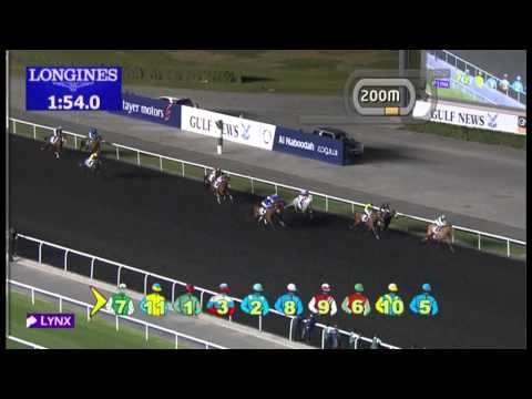 07.02.2013 Meydan (Dubai-UAE) 2.Race GN Focus - 2.000 m