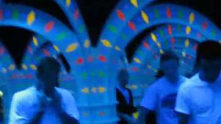 Man in the Mirror Maze