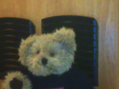 September 2017 JW broadcasting review