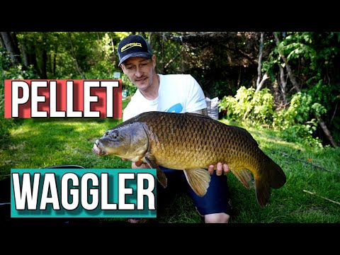 Erfolgreich mit dem Pelletwaggler ! mit diesen Tricks beissen die grossen FIsche !