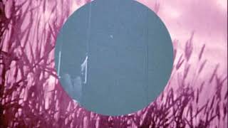 Irene Wiersma - Mens Mier video