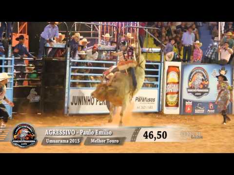 Rodeio de Umuarama 2015 - MELHOR TOURO