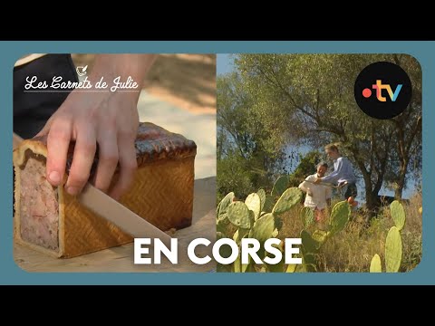 Today's Farmers in Corsica - Julie's Notebooks