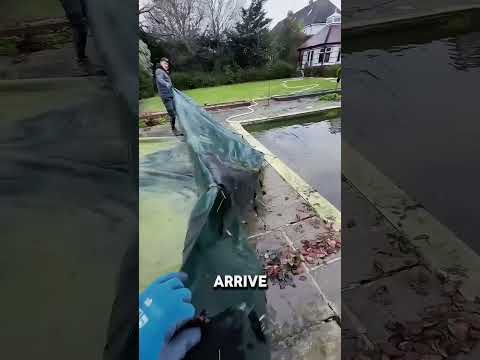 #anecdote #ecoledejardinage #france #jardin #paysagiste #storytime