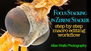 Focus Stacking with Zerene Stacker - step by step macro editing workflow