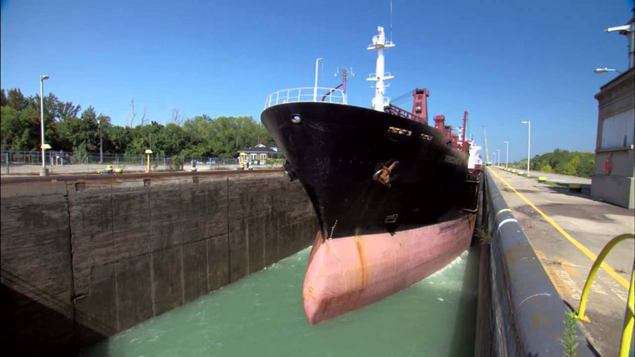 Aquatic Invasive Species, More Than Just Asian Carp