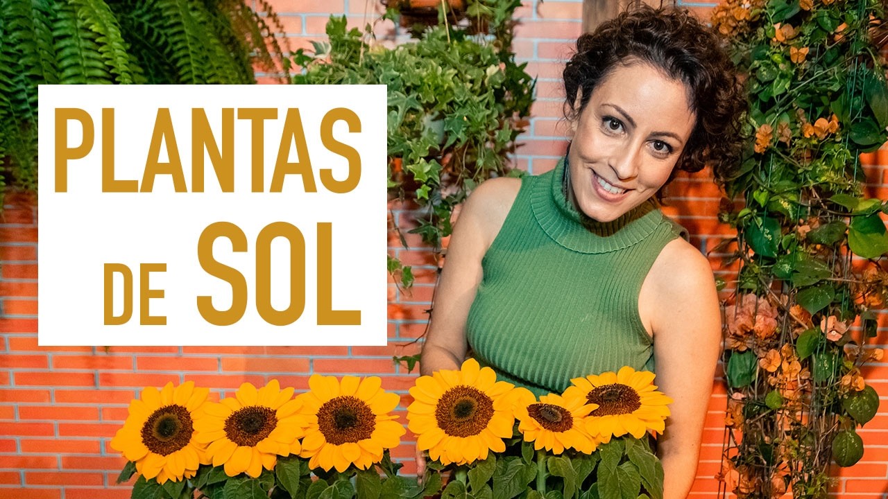 PLANTS that LOVE to be in the SUN: lavender, succulents and LOTS OF FLOWERS