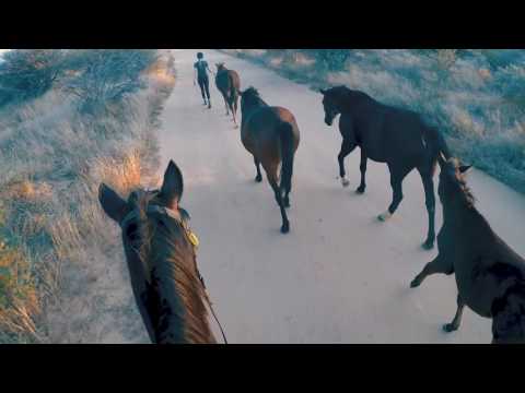 N/a’an ku sê Equine Experience