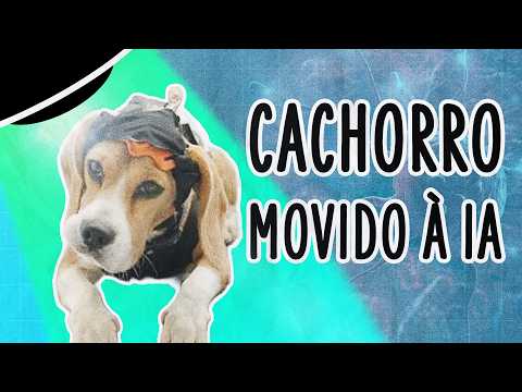 START-UP QUER USAR CACHORRO TREINADO POR IA PARA DIAGNOSTICAR CÂNCER | ABDUÇÃO