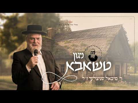 The Tshaba Nigun - Michoel Schnitzler z”l | מיכאל שניצלער ז״ל • ניגון טשאבא