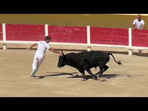 La Course Camarguaise, Camargue, France [HD] (videoturysta.eu)