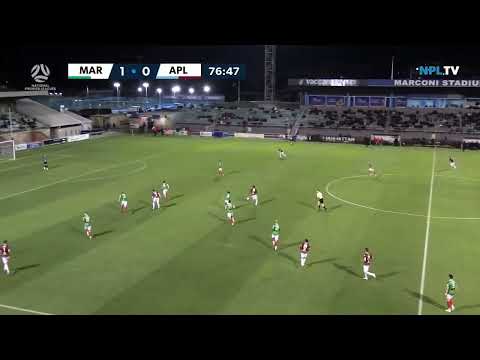 NPL NSW Men's Round 20 Fixture – Marconi Stallions v APIA Leichhardt