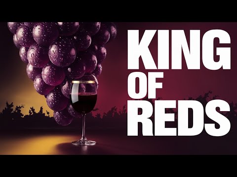 Cabernet Sauvignon 101: Why It’s the King of Red Wines