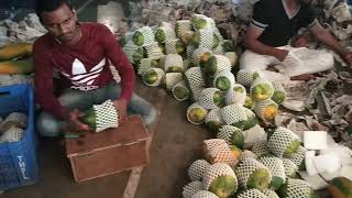 preview picture of video 'Amazing papaya packing on fruits supply India Vashi Mumbai'