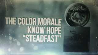 The Color Morale - Steadfast