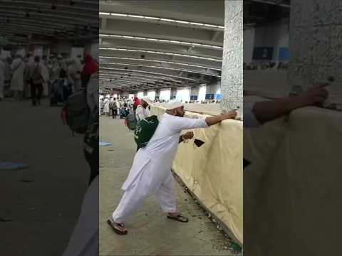 Masha,Allah makkah live madina live #makkah​ #madina​ #shorts​ #hajjlive​ #shortvideo #mecca​