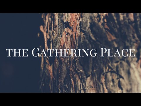 S1E2 (Excerpt): Lee Gutteridge