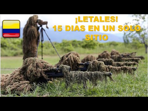 This is how a sniper, Colombia's secret weapon, trains.