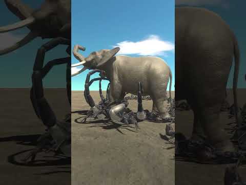 100x Emperor Scorpion vs Elephant #shorts #short