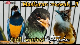 Download lagu MASTERAN MEWAH  FULL VARIASI TEMBAKAN  KASAR || cungkok - tengkek - jenggot mp3