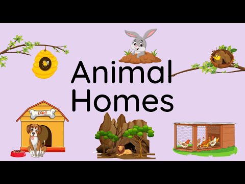 Animal homes names | Learn animals and their homes for kids