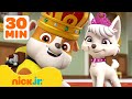 PAW Patrol Royalty Rescues Adventures W Rubble And Sweetie 30 Minutes Nick Jr