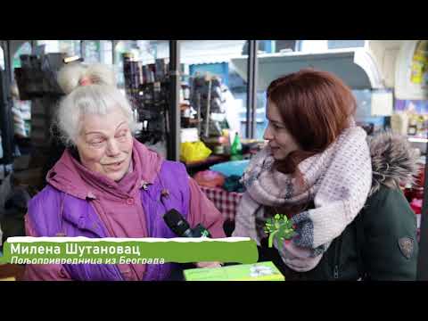 Ceger ep. 207 27.03.2020. Pijaca Kalenić