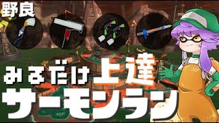 【野良】見るだけ上達サモラン！めちゃ辛そうなアラマキ砦🐋カンスト293回【スプラトゥーン3/サーモンランNW】
