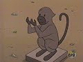 Sagwa The Return Of The Rat Great Balls Of Fire PBS Kids Airing