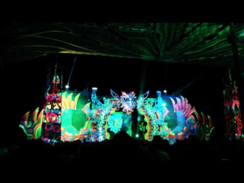 Phibian at Rezonance NYE Festival 2015/16 Part 2