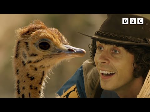 Learn about Baby Animals MARATHON | Andy's Baby Animals | Andy's Amazing Adventures