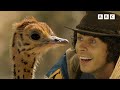 Learn About Baby Animals MARATHON Andy S Baby Animals Andy S Amazing Adventures